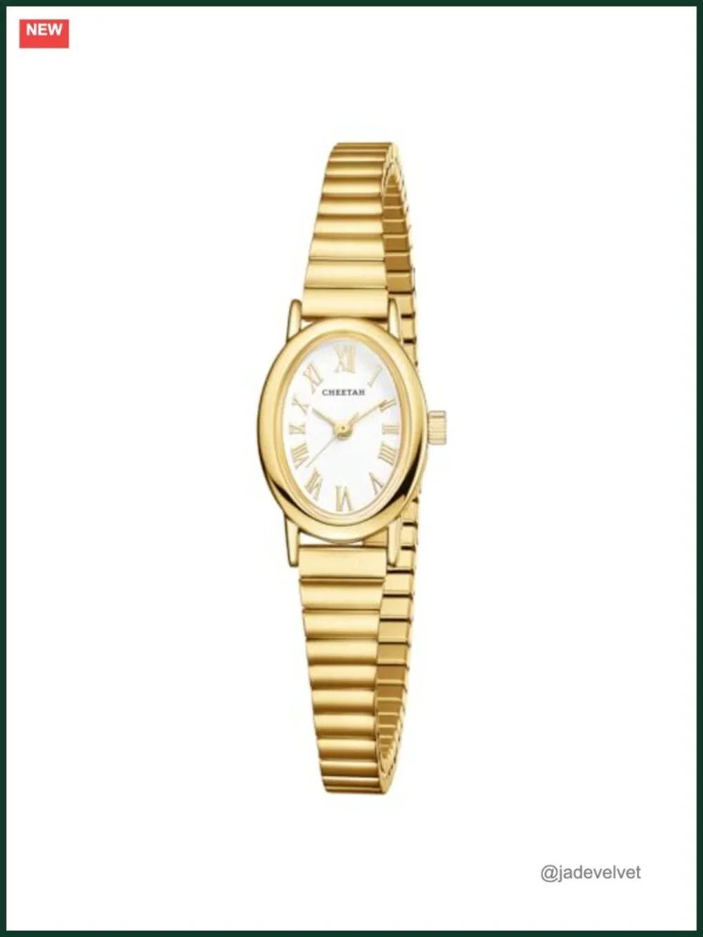 Dainty Oval Gold-Tone Watch with Stainless Steel Expansion Band and Roman Dial